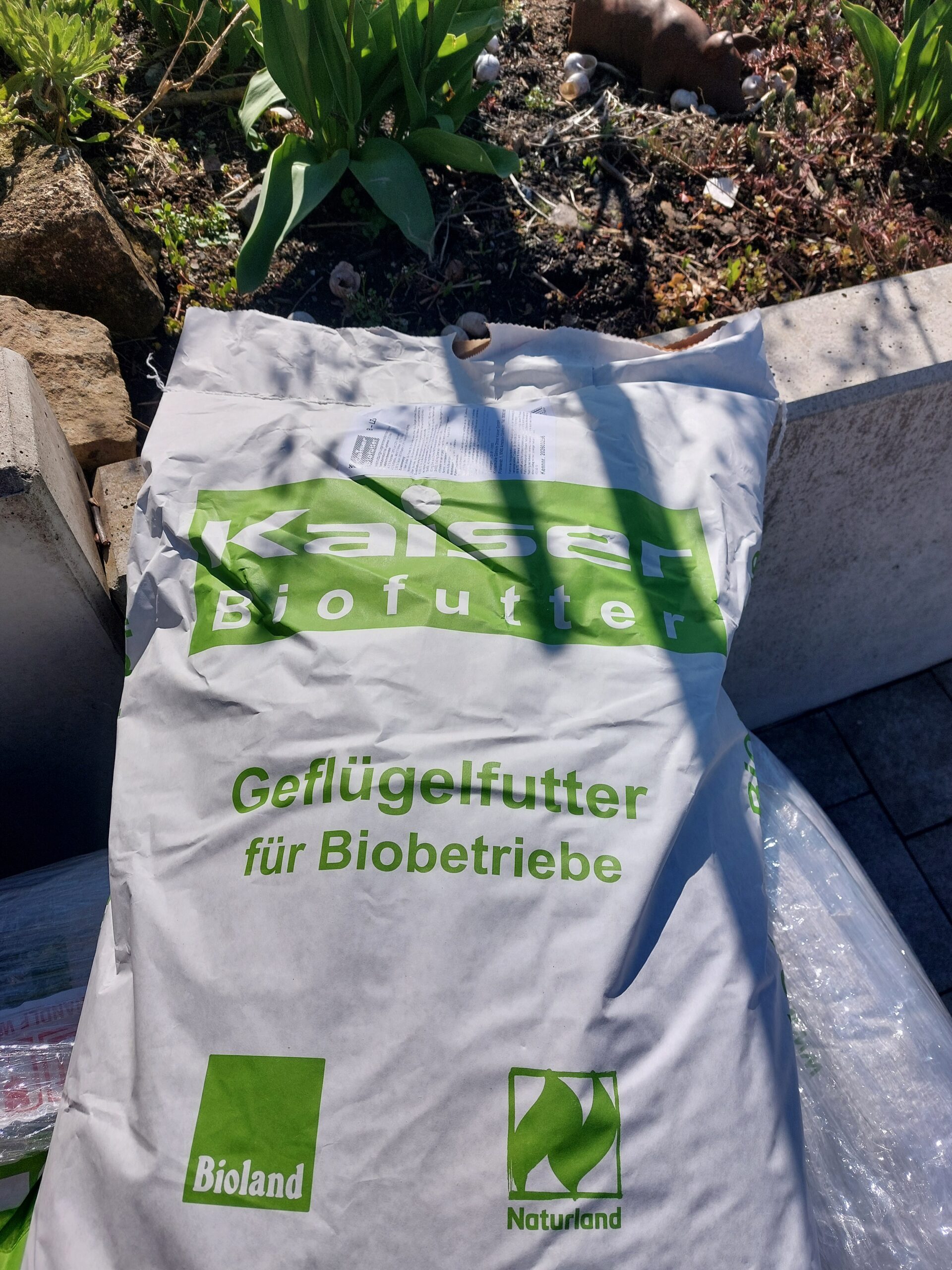 Bio-Zweinutzungsfutter für die Sundheimer Hühner