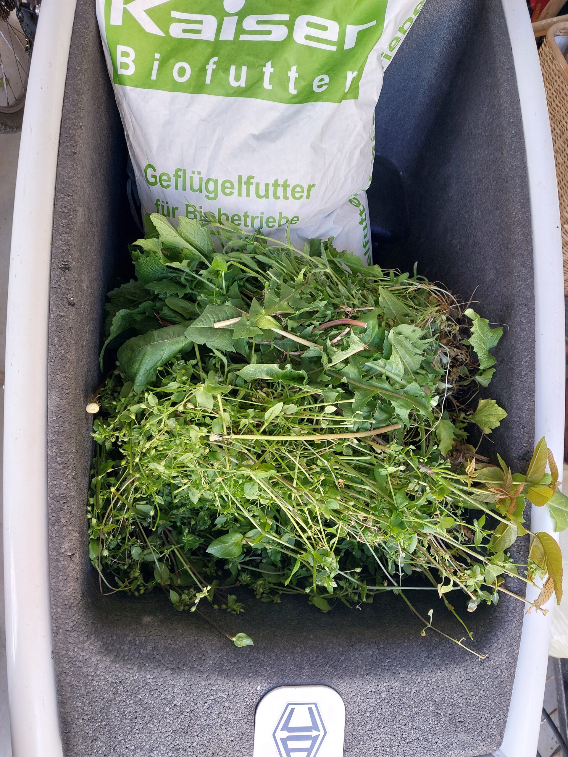 Bio-Zweinutzungsfutter Kaisermühle mit Grünfutter
