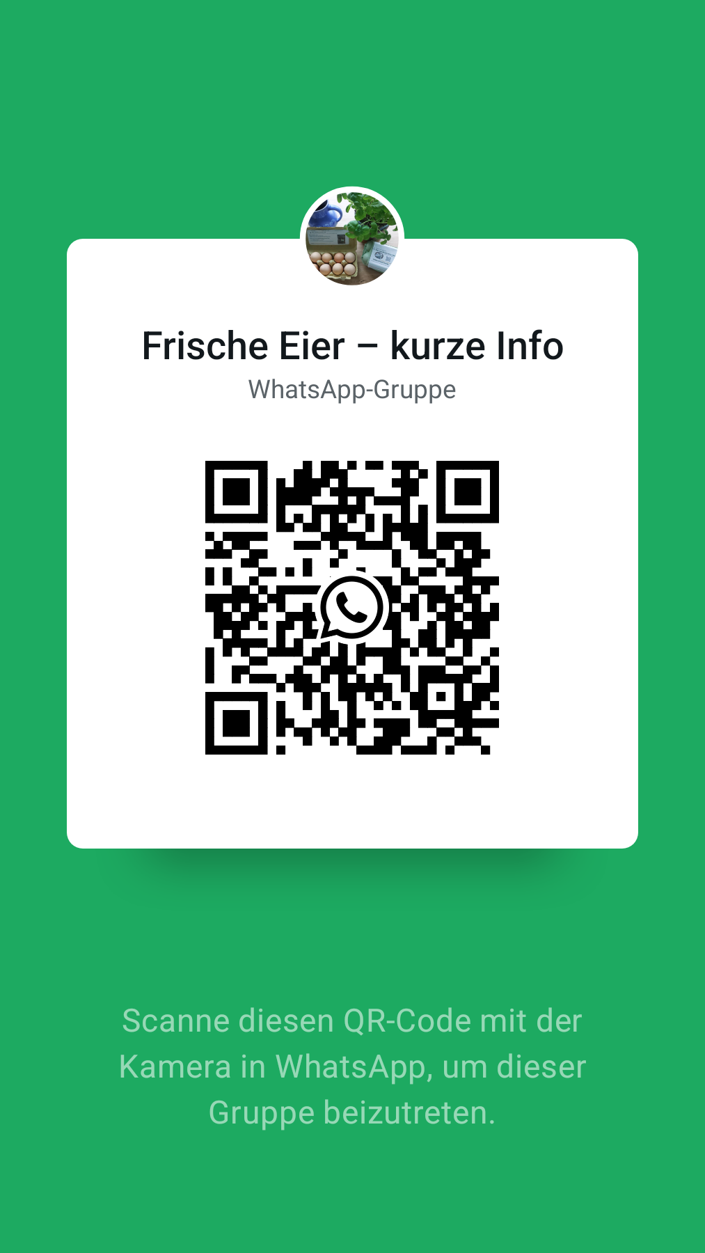 QR-Code zur WhatsApp-Gruppe Frische Eier – kurze Info