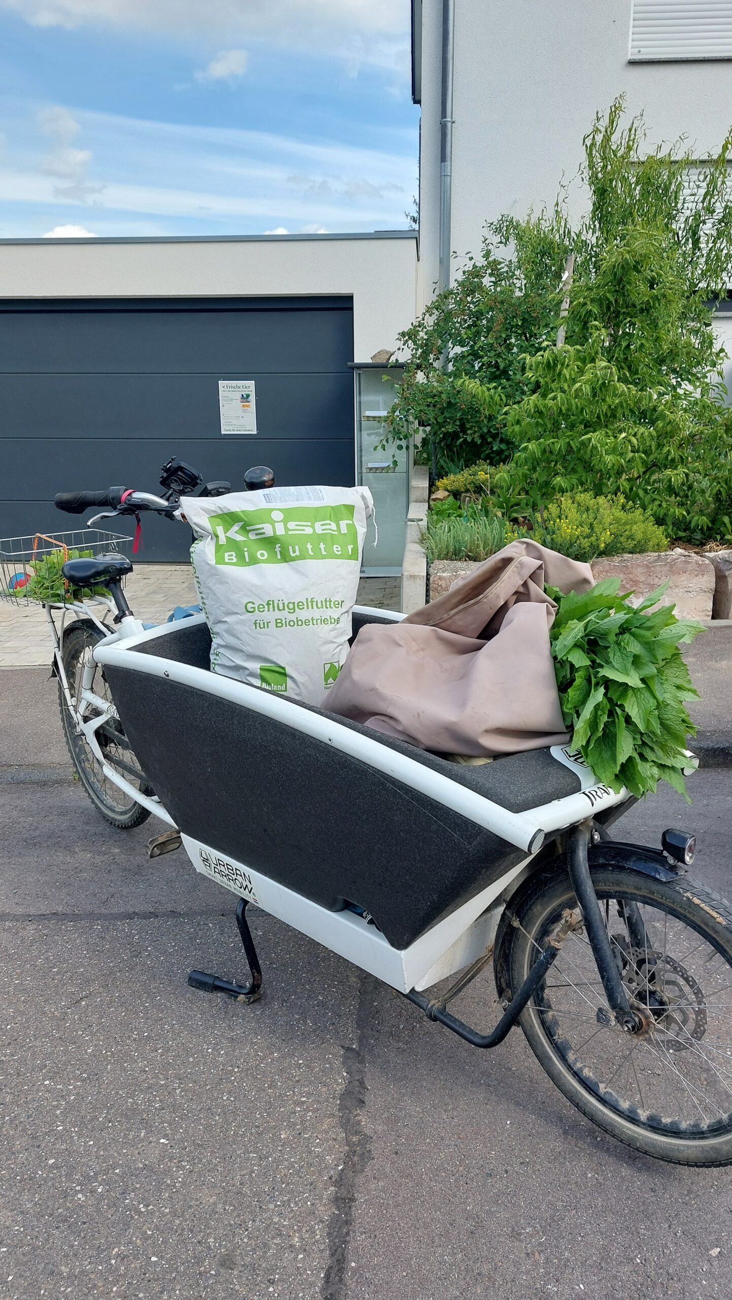 Von der Beratung in den Garten